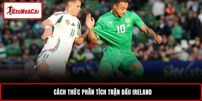 Cách thức phân tích trận đấu Ireland