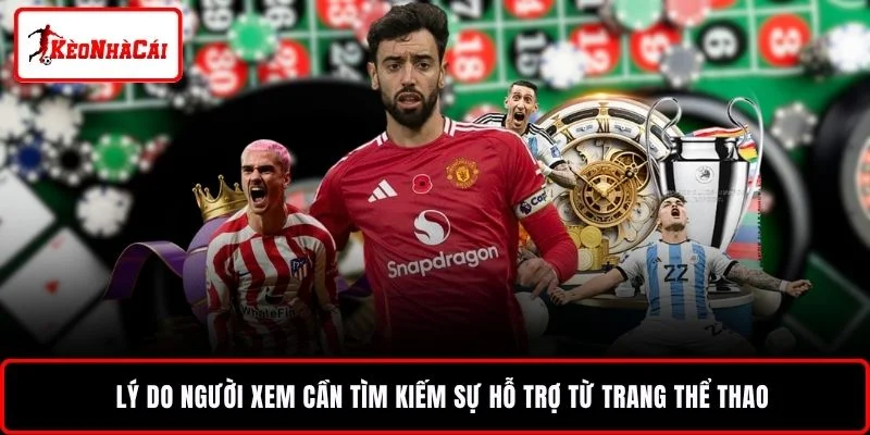 Lý do người xem cần tìm kiếm sự hỗ trợ từ trang thể thao