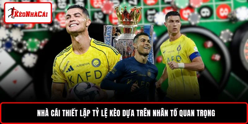 Nhà cái thiết lập tỷ lệ kèo dựa trên nhân tố quan trọng